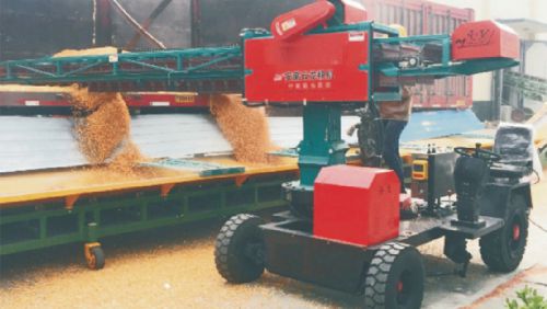 Bulk solid (grain) handling conveyor